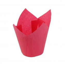 Капсулы Тюльпаны Красные